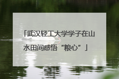 武汉轻工大学学子在山水田间感悟“粮心”
